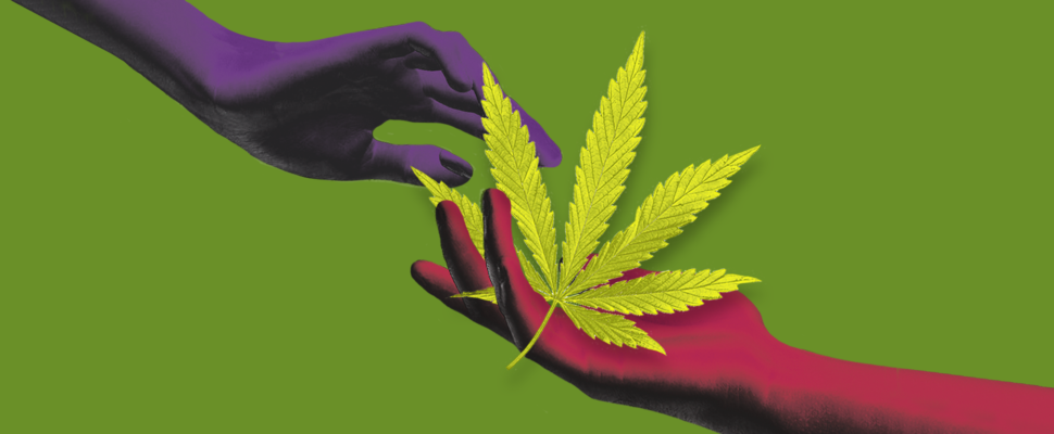 Five Emerging Trends in Medical Cannabis