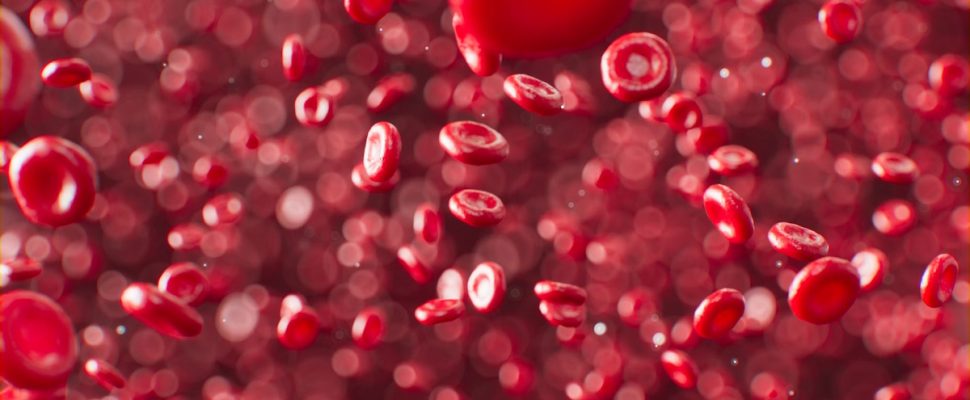 How the Middle East Became a Global Force in Thalassaemia Research