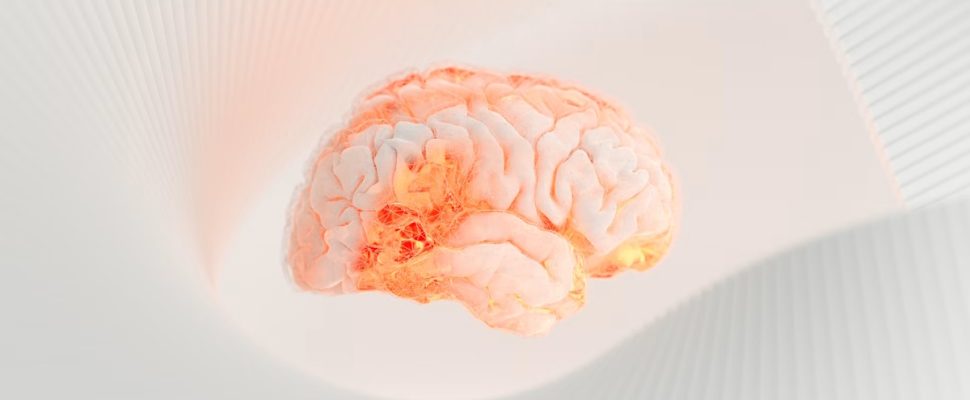 Three US Neurology Biotechs to Know in 2026